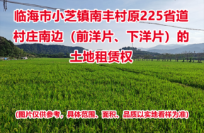 临海市小芝镇南丰村原225省道村庄南边（前洋片、下洋片）的土地租赁权